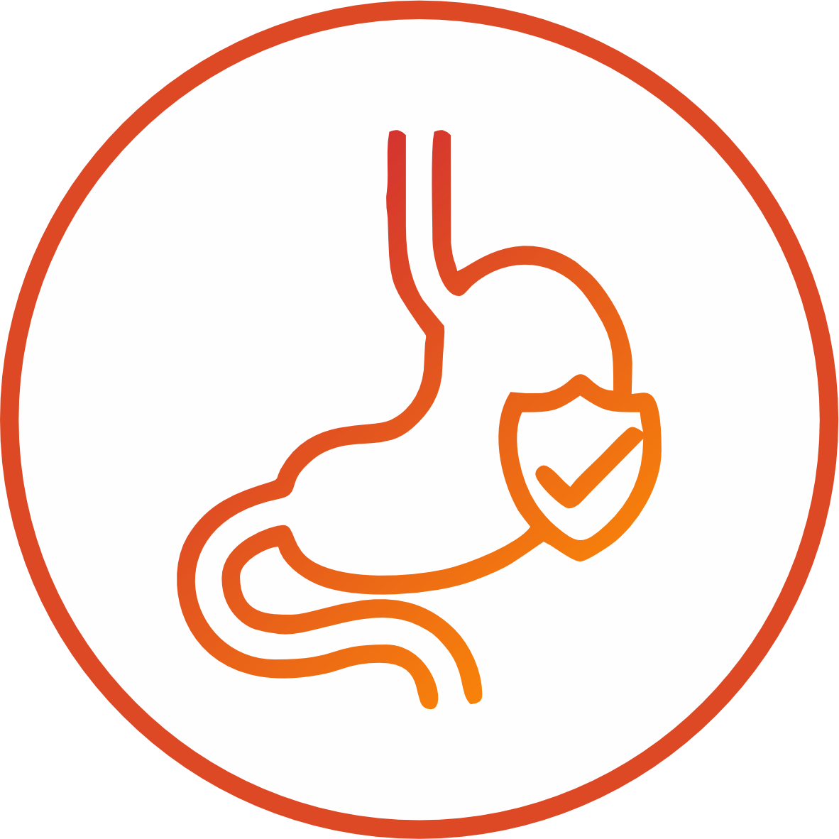 qida borusu vəmədə prosedurlari